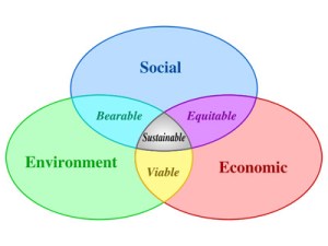 The Triple Bottom Line